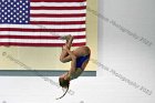 Swimming & Diving vs RWU  Swimming & Diving vs Roger Williams University. - Photo by Keith Nordstrom : Wheaton, Swimming